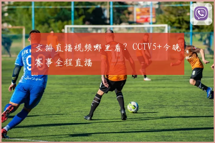 女排直播视频哪里看？CCTV5+今晚赛事全程直播