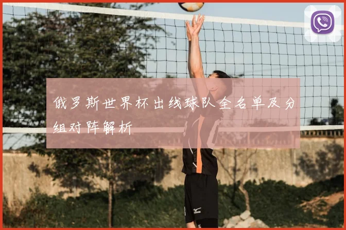 俄罗斯世界杯出线球队全名单及分组对阵解析