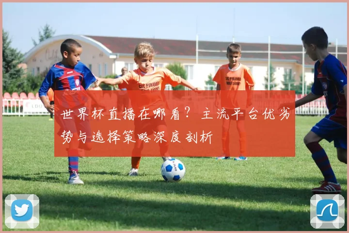世界杯直播在哪看？主流平台优劣势与选择策略深度剖析