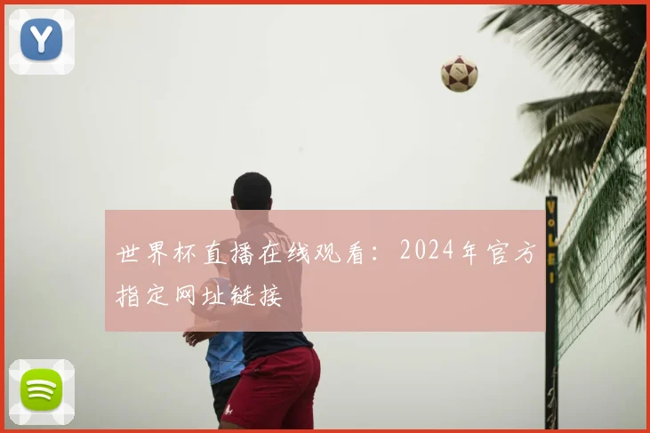 世界杯直播在线观看：2024年官方指定网址链接