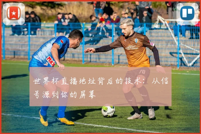 世界杯直播地址背后的技术：从信号源到你的屏幕