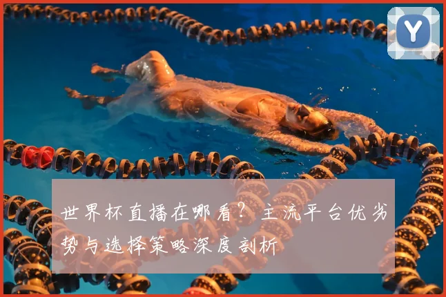 世界杯直播在哪看？主流平台优劣势与选择策略深度剖析