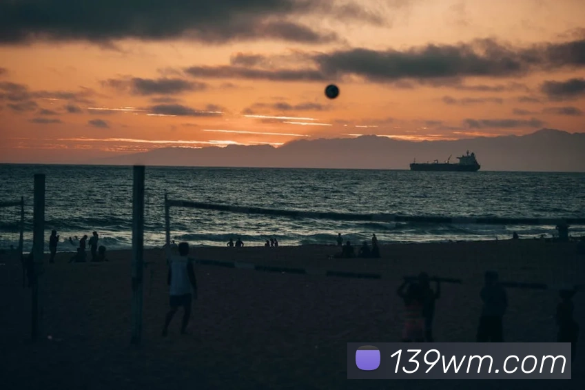 App Interface Preview